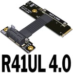 15CM R41UL 4.0 Câble d'extension M.2 NVME vers PCIE X1 4.0, pleine vitesse, clé M2, SSD, Interface de carte mère PCI-E4.0, adaptateur convertisseur 16G/bps Nipseyteko