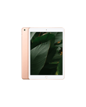 iPad 8 (2020) Wi-Fi Guld / 32GB / Bra skick