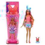 Barbie Pop Reveal Kanin