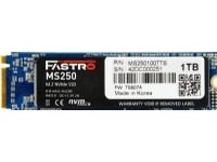 Dysk SSD MegaFastro MS250 1TB M.2 2280 PCI-E x4 Gen3 NVMe (MS250100TTS)