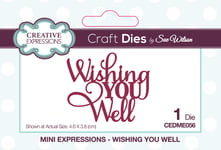 Sue Wilson Mini Expressions-Wishing You Well-Craft Die, Metal, 3.8 x 4.6 cm