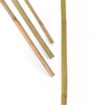Nelson Garden Bambukäpp, 200 cm, 3-pack