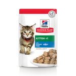 Hill's Science Plan Kitten 12 x 85 g- Ocean Fish