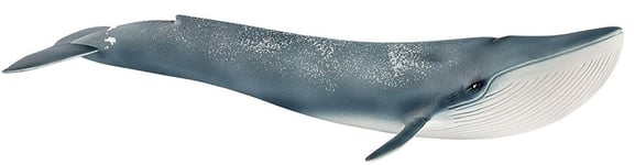 SCHLEICH - Blue whale -  - SHL14806