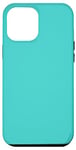 Coque pour iPhone 12 Pro Max Turquoise