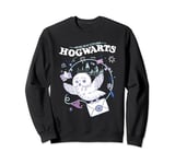 Harry Potter Owl Lettter From Hogwarts Sweatshirt