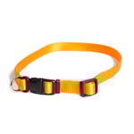 Dogman Justerbart Valphalsband Orange