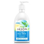 Jason Purifying Tea Tree Hand Soap - 473ml