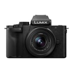 Panasonic Lumix G100D Digital Camera with 12-32mm Lens