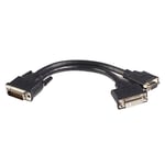 StarTech.com DMS 59 Splitter Cable - 8in - DMS 59 to 1 x DVI / 1 x VGA - Y Cable - DMS 59 to VGA - Monitor Splitter Cable - DMS 59 Cable (DMSDVIVGA1)