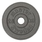 Master Fitness Skolvikt 25 mm, Viktskiva Järn