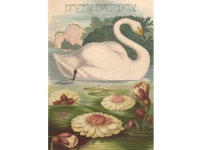 Madame Treacle B6-carnet med kuvert Birthday Swan