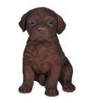 Vivid Arts Pet Pals Chocolate Labrador Puppy (Size F)