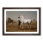 Big Box Art Jacques-Laurent Agasse The Wellesley Grey Arabian Framed Wall Art Picture Print Ready to Hang, Walnut A2 (62 x 45 cm)