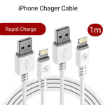 Charger Charging Cable Lead Cord For iPhone iPad 1 m Fast Rapid Charge Apple