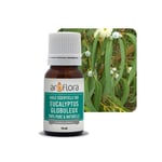 Eucalyptus Globulus Organic Essential Oil, 10ml
