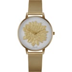 Bellevue Ladies Watch D-13