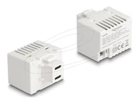 Delock 41479 - Keystone Laddningsmodul 2X Usb Typ-C Pd 20 W Vit (41479)