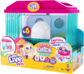 Little Live Pets Surprise Chick Hatching House Cute Interactive Pet Chick