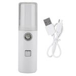 Usb Rechargeable Portable Handheld Facial Humidifier Mister