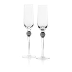 Diamond Champagneglas 2-pack, Silver