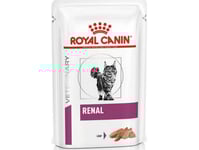 Royal Canin Veterinary Diet Renal Pasztet 85G