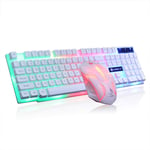 Computer Mouse And Keyboard Wired Mechanical Keyboard And Mouse Rgb Backlit Keys USB Game Suite - White