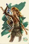 empireposter Poster The Legend of Zelda - Link Unleashed - 61 x 91,5 cm