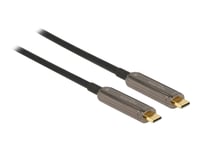 Delock - Kabel För Video / Ljud - 24 Pin Usb-C Hane Till 24 Pin Usb-C Hane - 30 M - Fiberoptisk - Svart - Active Optical Cable (Aoc), 4K60hz (3840 X 2160) Stöd