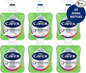 Carex Aloe Vera Antibacterial Liquid Hand Wash (Pump) - 250ml x 6