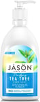 JASON Tea Tree Purifying Hand Soap 473mll