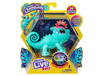 Littlest Pet Shop Diner Dash Play Pack