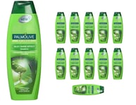 Palmolive Naturals Silky Shine Effect Shampoo With Aloe Vera 350 ml / Pack of 12