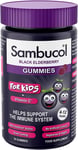 SAMBUCOL KIDS GUMMIES 30'S, 30 Count (Pack of 1)