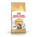 Royal Canin Maine Coon Adult Cat