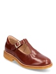 Shoes - Flat - With Buckle Shoes Mary Jane Shoe Brown ANGULUS