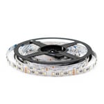 12W/m RGB+WW LED strip - 5 meter, IP20, 60 LED per. meter, 24V