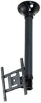 Newstar TV Monitor Ceiling Mount for 10"- 40" Screen, Height Adjustable, Black