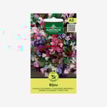 Luktärt, Bijou mixed