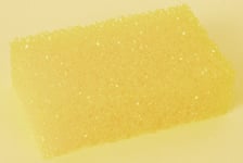 Kungs Insektssvamp - 1-pack