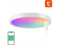 Smart Ceiling Lamp 30Cm Wifi/Bluetooth 16M Rgbcw Gosund Lb12 1920Lm Tuya + Remote Control.