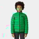 Helly Hansen Junior Marka Fodrad Jacka Grön 140/10