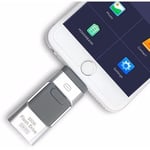 Clé USB externe i-Flash 3 en 1 OTG - Pour iPhone 8 / 7 / 6 / 6S / 5 / iPad et téléphones Samsung 256 Go Silver
