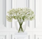 Allium snittblomma vit