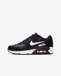 Nike Air Max 90 LTR Older Kids' Shoes