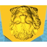 MakeIT Size: S, Lion Bas Relief - Negative Mold For Casting Svart S