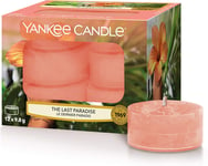 Yankee Candle Tea Light Scented Candles | the Last Paradise | 12 Count