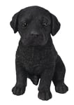 Vivid Arts Pet Pals Black Labrador Puppy (Size F)