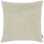 Cozy Living Velvet Soft Cushion Cover- Pale Green Putetrekk 50x50 cm Bomullsfløyel