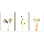 Small fresh and colorful plant flowers wheat ear art poster canvas painting minimalist mural living room home decoration 50x70cmx3 No frame